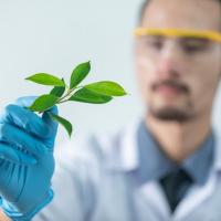 Health topics, Medical help